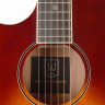 James Neligan BES-ACE DCB LH электроакустическая гитара