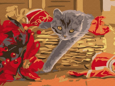 Картина по номерам 15х20 ПОДАРОК (12 цветов)