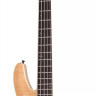 SCHECTER SLS ELITE-5 ANQFB 5-струнная бас-гитара