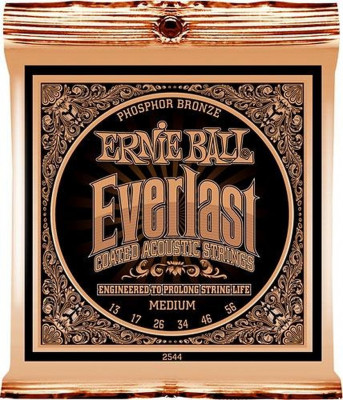 Комплект струн для акустической гитары Ernie Ball P02544, 13-56