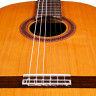 CORDOBA IBERIA F7 Paco Flamenco классическая гитара фламенко с чехлом