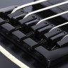 SCHECTER SLS ELITE-5 EVIL TWIN 5-струнная бас-гитара