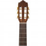 Классическая гитара 4/4 ALTAMIRA N100+