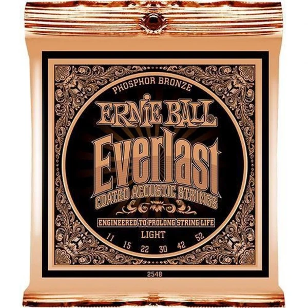Комплект струн для акустической гитары Ernie Ball P02548, 11-52