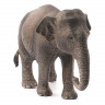 Фигурка Schleich Азиатский слон, самка