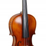 Karl Hofner AS-045-V 3/4 Alfred Stingl скрипка, струнодержатель с 4-мя машинками + кейс и смычок
