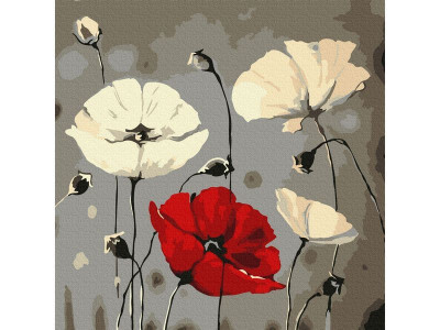 Картина по номерам 30х30 МАКИ НА ТЕМНОМ ФОНЕ (14 цветов)