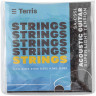 Струны для акустической гитары TERRIS SA-CSSL