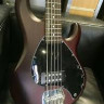 Sterling by MusicMan RAY5-WS-R1 бас-гитара