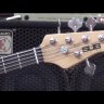 Sterling by MusicMan RAY5-WS-R1 бас-гитара
