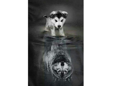 Картина по номерам с цветной схемой на холсте 30х40 Я все смогу... (17 цветов)