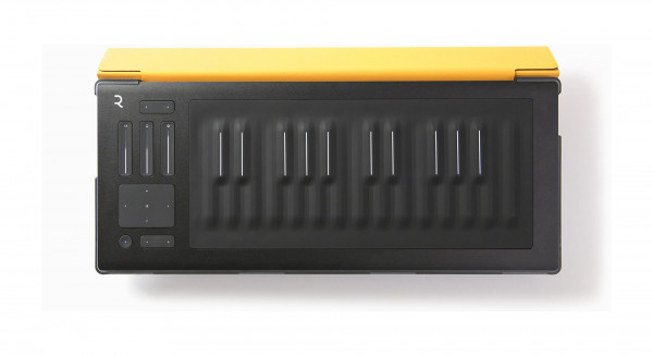 ROLI FLIPCASE AMBER защитный кейс для RISE 25, цвет AMBER