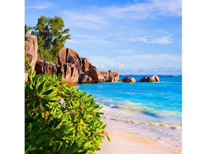 Картина по номерам 30х30 На далеких берегах (20 цветов)