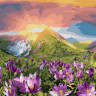 Картина по номерам 40х50 ВОСХОД (28 цветов)