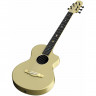 Гитара акустическая шестиструнная NATASHA Asteroid Glaze Gold