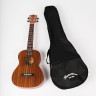 MARTIN ROMAS MR-02F укулеле-концерт с чехлом