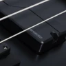 SCHECTER SLS ELITE-4 EVIL TWIN бас-гитара