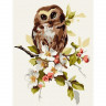 Картина по номерам 15х20 СОВЁНОК НА ЯБЛОНЕ (16 цветов)