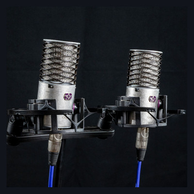 Стереопара микрофонов Aston Microphones ORIGIN STEREO PAIR