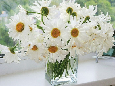 Картины по номерам 40х50 РОМАШКИ В ВАЗЕ (26 цветов)