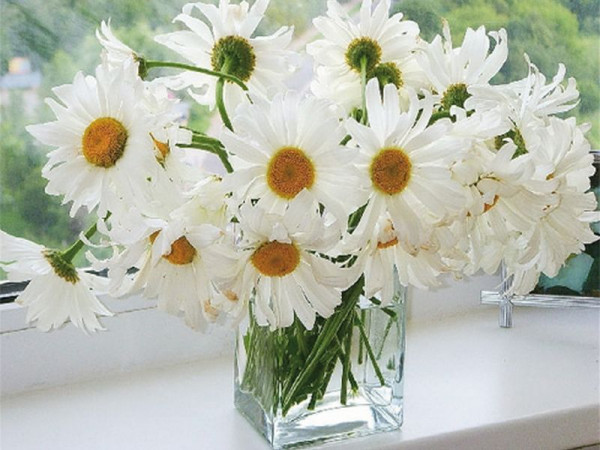 Картины по номерам 40х50 РОМАШКИ В ВАЗЕ (26 цветов)