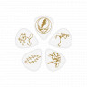 Набор медиаторов 10 шт PLANET WAVES 1CWH4-10GD2 Grateful Dead Signature белый