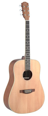 JAMES NELIGAN ASY-D акустическая гитара