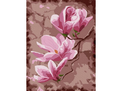 Картина по номерам 15х20 ЦВЕТЫ МАГНОЛИИ (14 цветов)