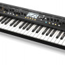 Синтезатор Behringer DEEPMIND 12  аналоговые VCF и VCA