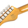 SCHECTER PT SPECIAL 3TSBP электрогитара