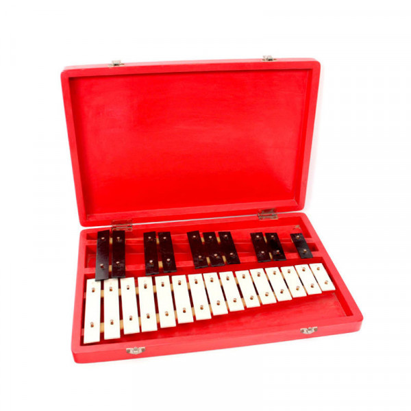 Хроматический металлофон ALINA AM25Case