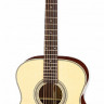 Aria MF-240 MTN акустическая гитара