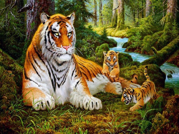 Картина по номерам 40х50 Строгий отец (26 цветов)