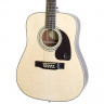 EPIPHONE DR-212 NATURAL CH HDWE гитара ак. 12-стр.