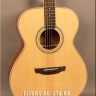 Flight AG-210 NA акустическая гитара
