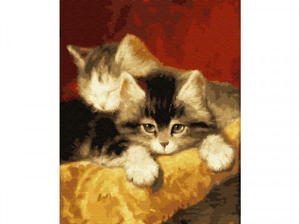 Картина по номерам 40х50 Котята (24 цвета)