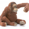 Фигурка Schleich Орангутан, самка