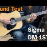 Sigma DM-1ST+ акустическая гитара