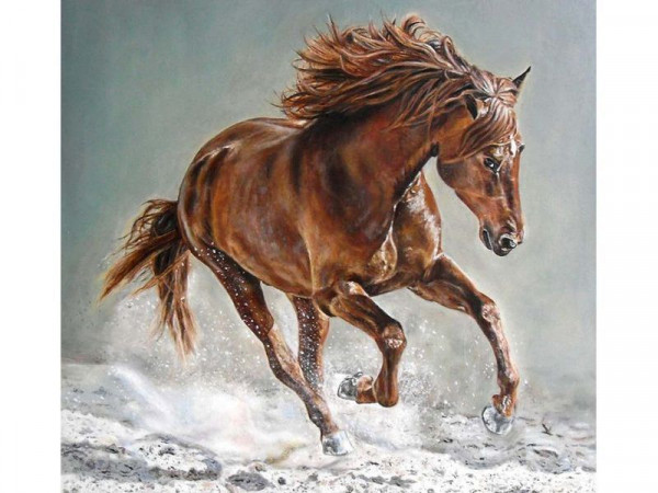 Картина по номерам 30х30 Рысак (17 цветов)