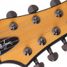 Schecter JEFF LOOMIS-7 FR VRS 7-струнная электрогитара