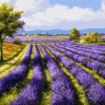 Картина по номерам 40х50 ЛАВАНДОВОЕ ПОЛЕ (27 цветов)