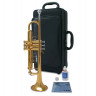 Yamaha YTR-3335 - труба Bb стандартная модель, средняя, yellow brass, лак - золото
