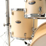 PEARL DMP925SP/C215 ударная установка (только барабаны)