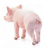 Фигурка Schleich Поросенок, стоит