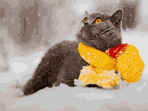 Картина по номерам с цветной схемой на холсте 30х40 БРИТАНЕЦ В ШАРФЕ (20 цветов)