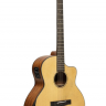JAMES NELIGAN GLEN-OCE N Электроакустическая гитара