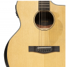 JAMES NELIGAN GLEN-OCE N Электроакустическая гитара