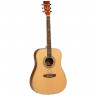 TANGLEWOOD DBT-DLX-D акустическая гитара
