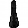 Укулеле комплект DAVINCI DAVINCI VINS-10EM PACK PACK