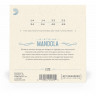Струны для мандолины D'ADDARIO EJ72 Light легкое натяжение